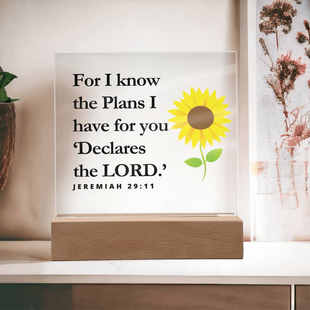 Jeremiah 29:11