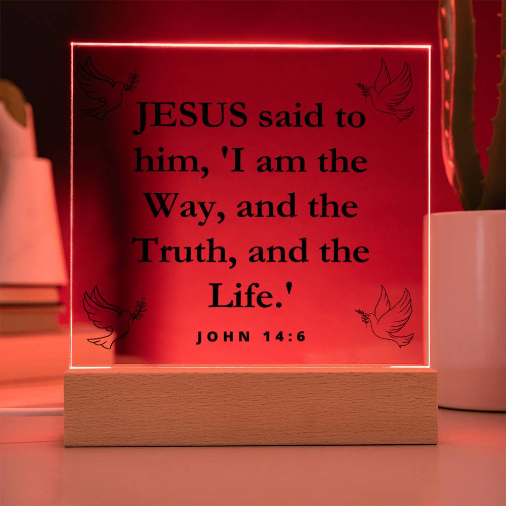 JOHN 14:6