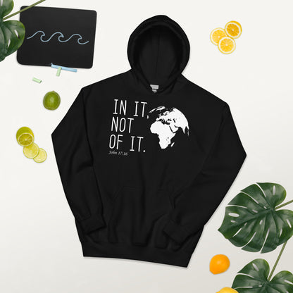 In this World - Not Of It Christian Hoodie